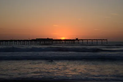 DSC_7112 (Large).JPG